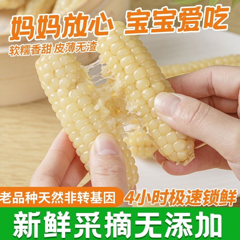 云南版纳拇指玉米香糯小玉米傣家甜黏手指玉米宝宝小玉米软糯香甜