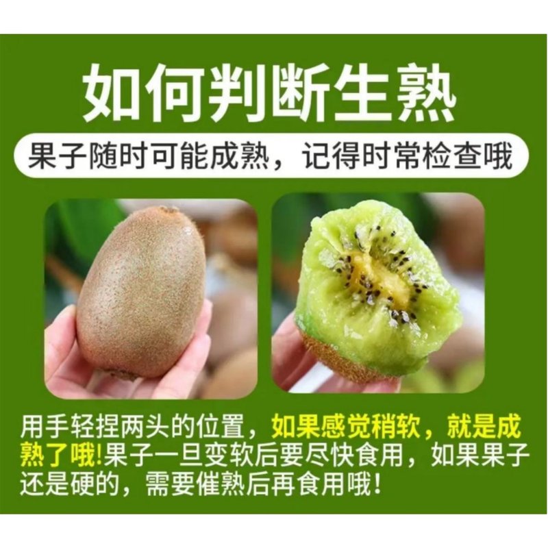 【放软食用】陕西翠香猕猴桃香甜多汁奇异果