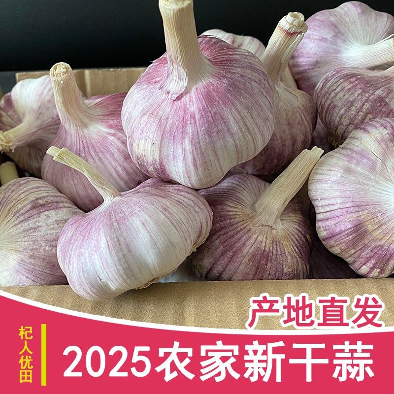 农家新晒5斤新干蒜紫白皮大蒜头产地特大果干大蒜河南1斤3斤9斤蒜