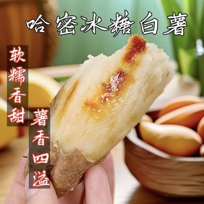 【5斤装！热卖！】哈密白薯 哈密薯头新鲜白心糖心蜜薯冰糖薯粗粮
