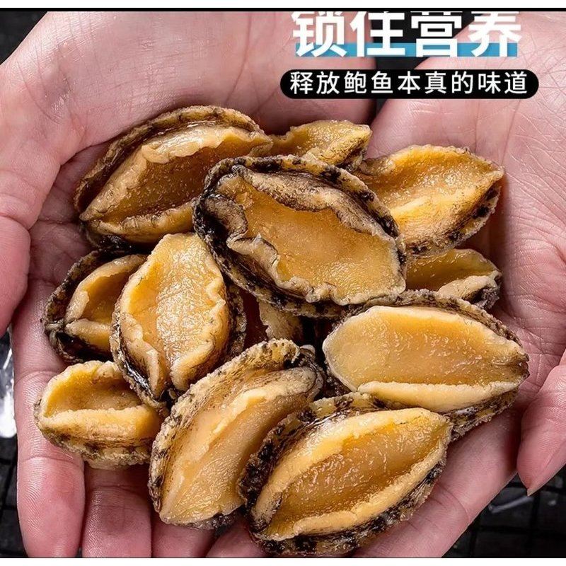 【鲜冻】4-6厘米鲍鱼肉肉 精选现剥个大饱满口感劲道九孔鲍 海鲜