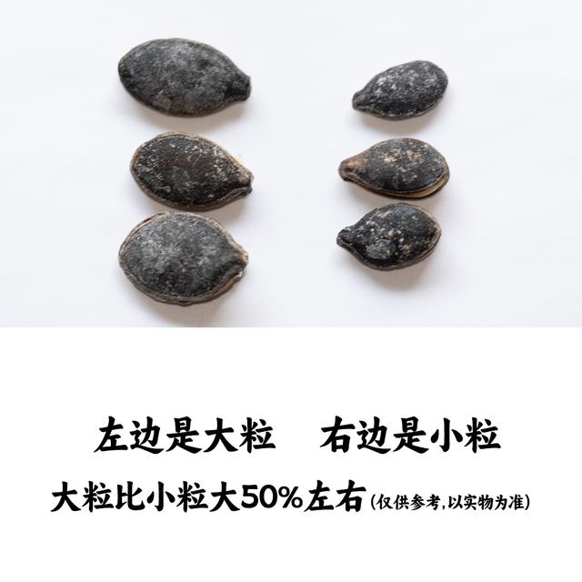 老师傅老传统精炒开口黑南瓜子管良500g250g椒盐原味炒制小粒大粒