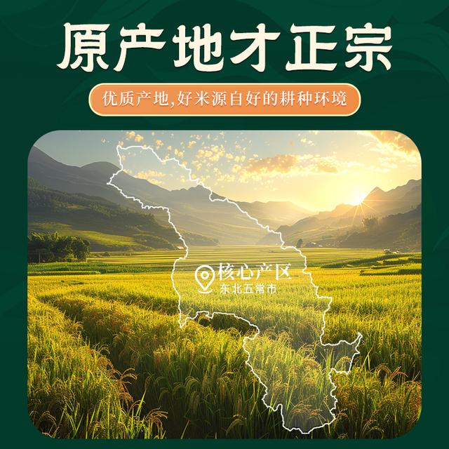当季东北黑土五常大米10斤黑龙江五常香米GB/T19266真空装新米