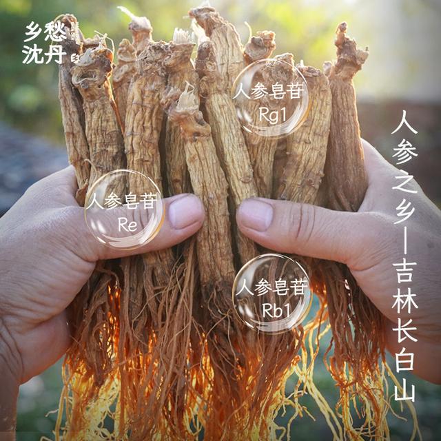 乡愁红参元气丸沈丹营黄芪吉林长白山足龄红参（10%）【独立包装