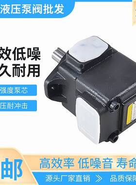 新款高压液压泵VQ15/VQ25/VQ35/VQ45/DVQ20/DVQ25系列定量叶片油