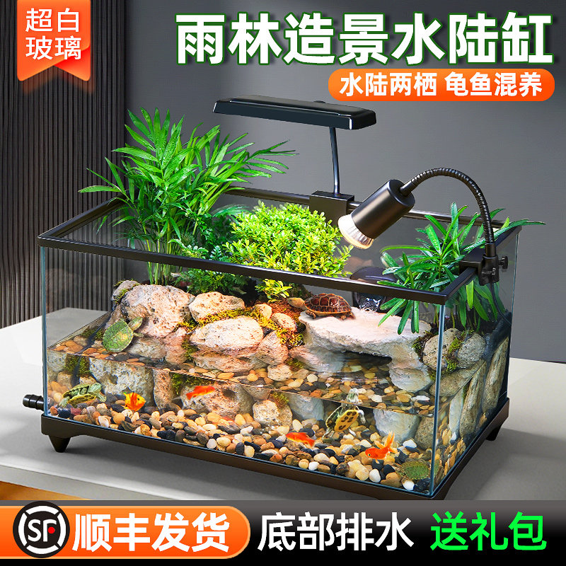 超白玻璃乌龟缸客厅家用养乌龟专用饲养箱晒爬台小型生态造景鱼缸