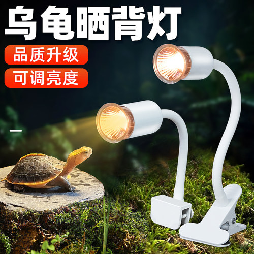 乌龟晒背灯uvb加热太阳灯