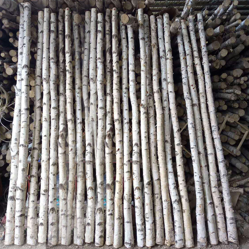 白桦树干装饰原木白桦木枯树造型树叉干树枝树杈婚庆拱门橱窗隔断