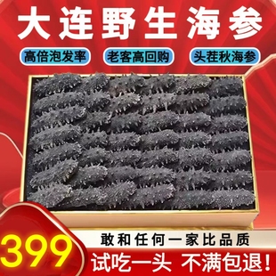 大连纯野生海参干货淡干海参辽参刺参长岛海参深海辽刺参礼盒顺丰