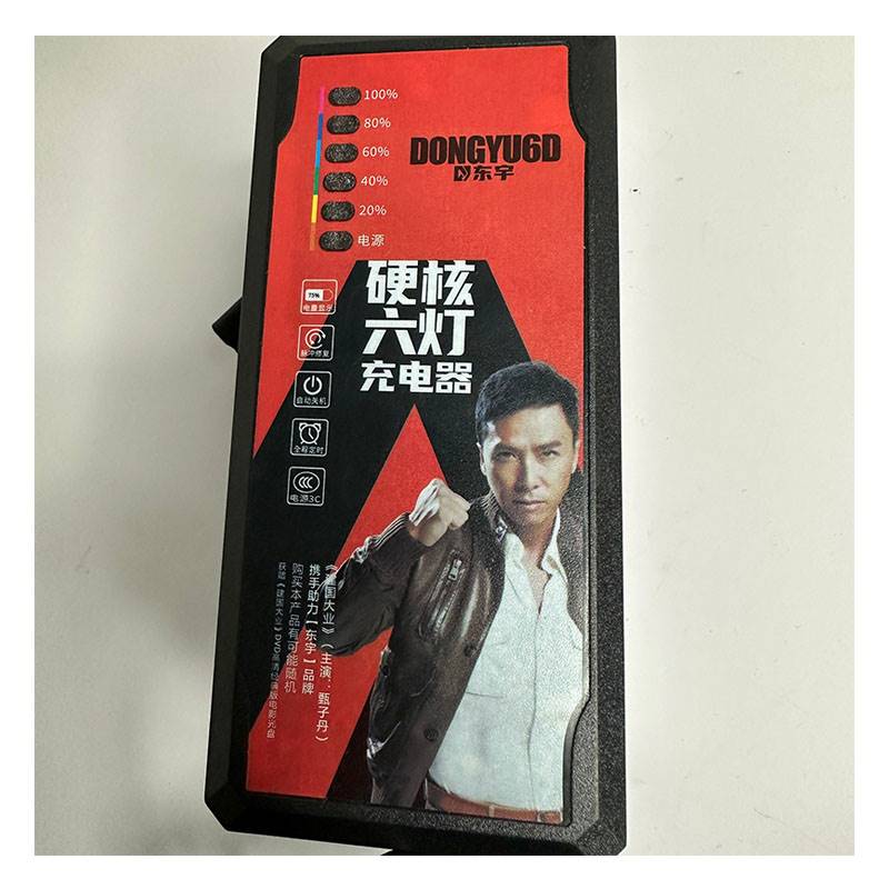 东宇品牌全自动智能电动车电池电瓶充电器充满自动断电自停充电