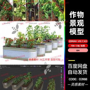 c4d花园农作物庄稼苗圃茄子西红柿甘蓝黄瓜植株3d模型fbx建模obj