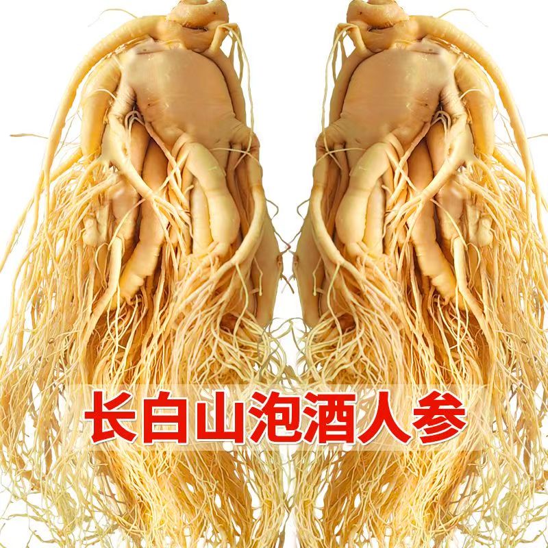 长白山整支人参保鲜参煲汤泡酒专用人参吉林园参东北特产特大人参