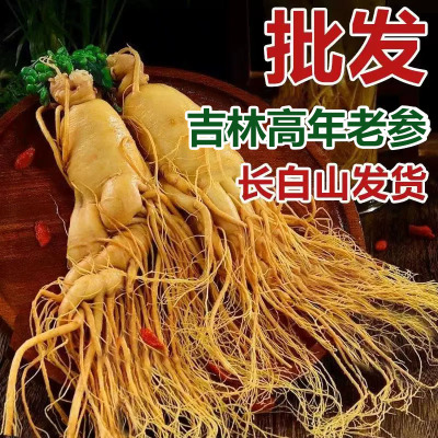 人参长白山泡酒专用特产药材园参