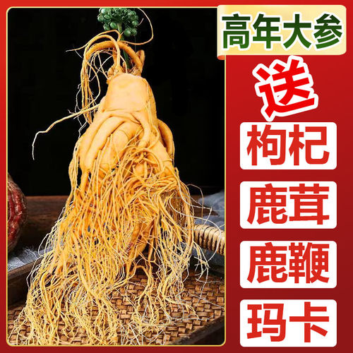 人参长白山煲汤泡酒滋补养生批发