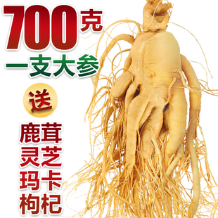 长白山人参整支特大支保鲜参煲汤泡酒专用鲜人参东北特产吉林园参