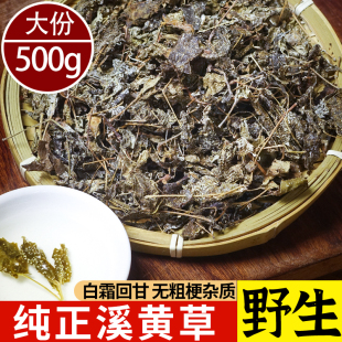 今年新货溪黄草500g无粗梗回甘广东肇庆产地食用农产品开水冲泡茶
