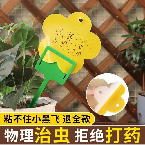 粘虫板黄板双面大棚菜园小飞虫果蝇诱捕器粘蚊贴苍蝇贴果园粘蝇纸