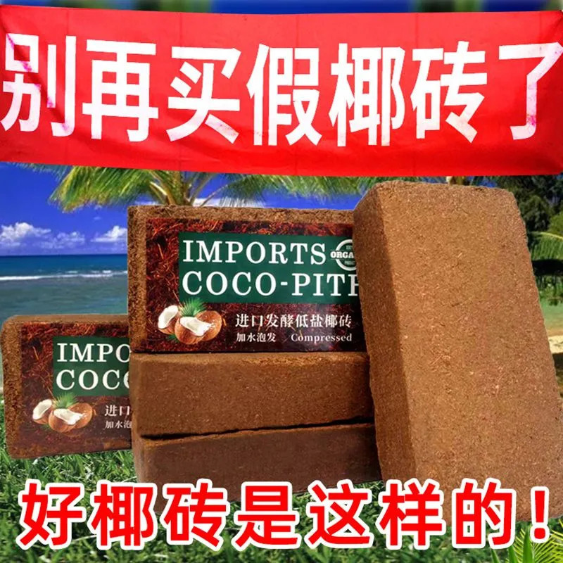 乌龟冬眠专用椰土寄居蟹昆虫蜗牛蜘蛛爬宠垫料保温箱饲养盒乌龟缸