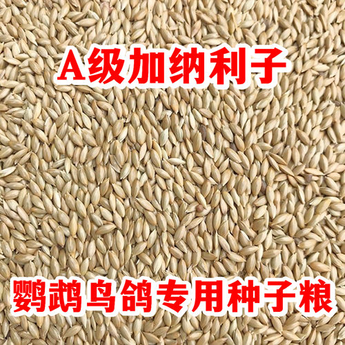 加纳利子鹦鹉鸟粮饲料