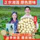 湘潭白莲子去芯磨皮干货精选特大颗500g新货红莲带芯一级煲汤百合