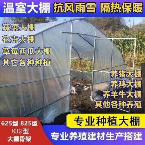 德国品质种植蔬菜棚养殖大棚养牛羊猪棚大棚钢管骨架半坡棚连栋棚
