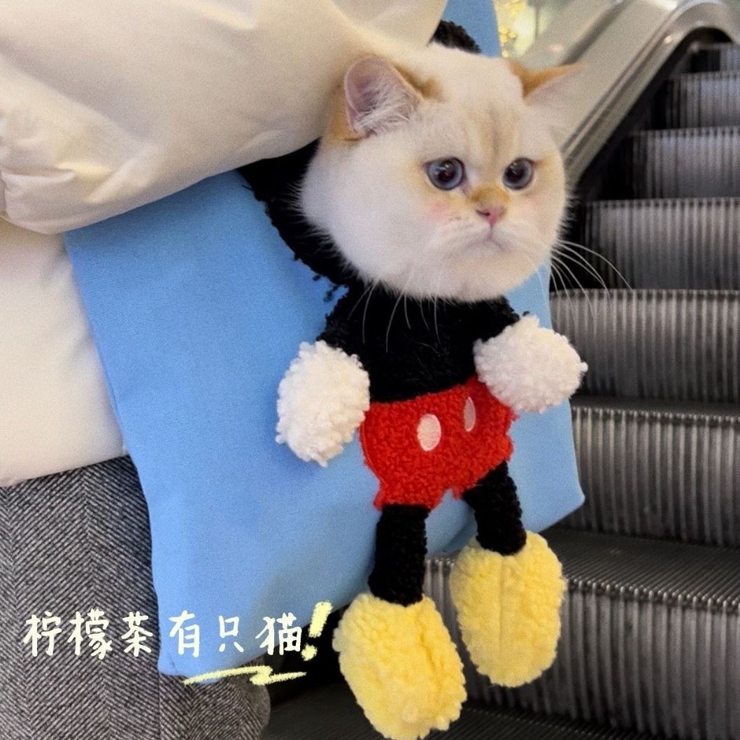 猫头手提购物袋猫包猫咪