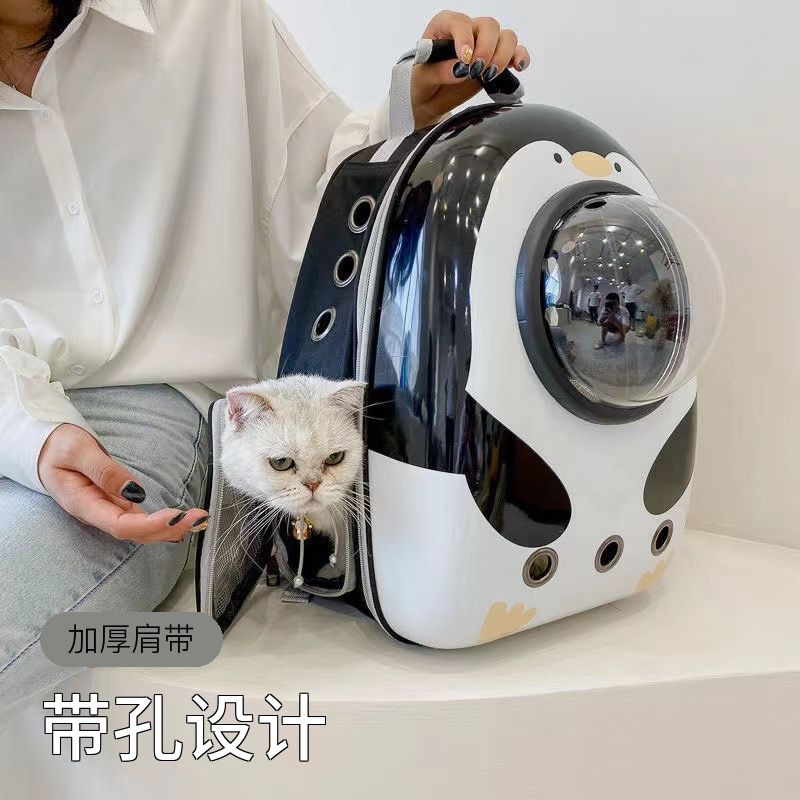 猫包狗包太空舱宠物咪外