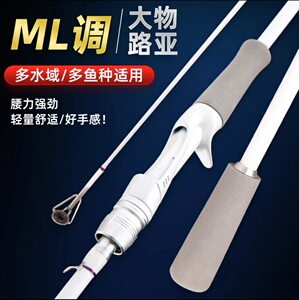 超轻超硬白色竿新手碳素远投海竿抛竿黑坑巨物杆海钓路亚杆路滑竿