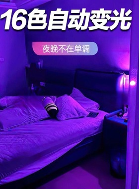 情调灯光氛围灯卧室情侣浪漫气氛灯夫妻行房睡眠灯紫色led小夜灯
