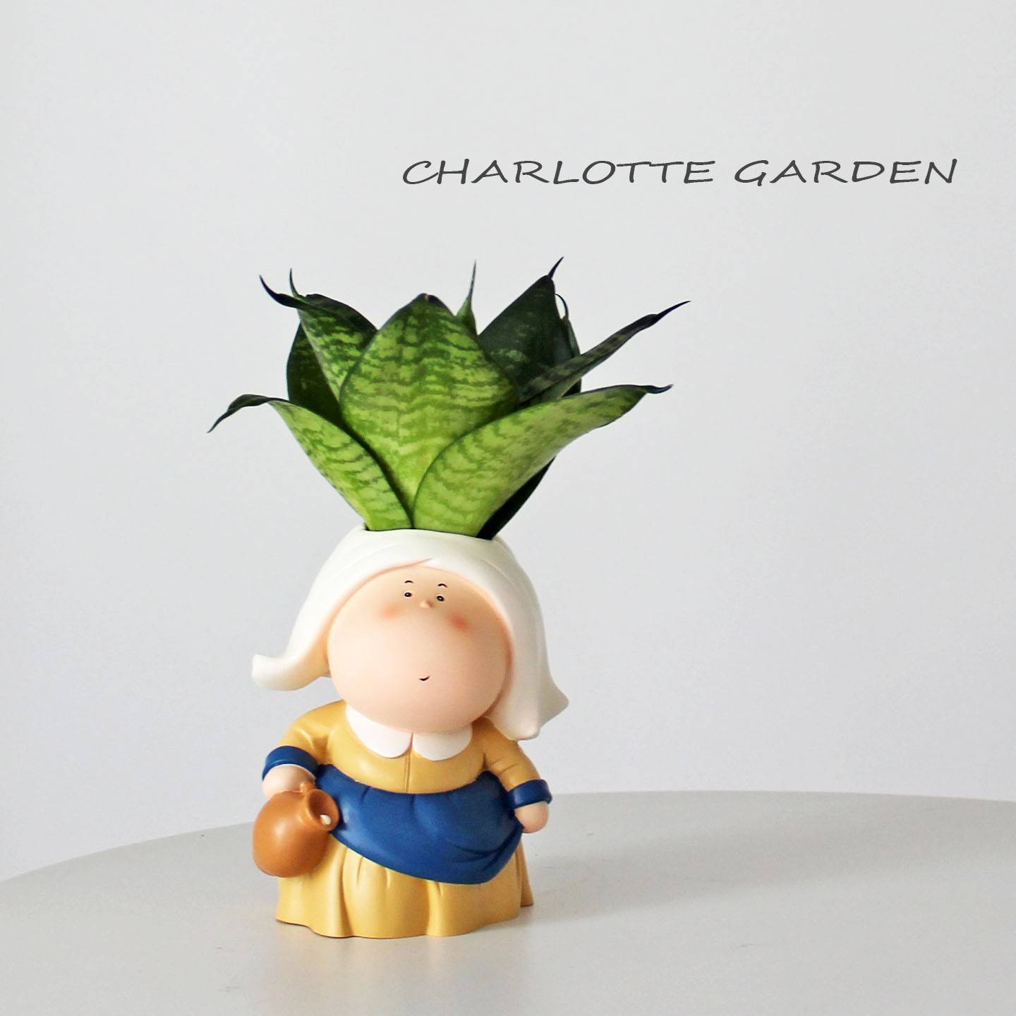 兰虎皮生虎栽兰可室60803内盆绿办植室创居桌面公家装饰尾爱意日