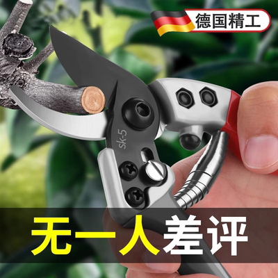 【锋利不生锈】剪刀修枝剪
