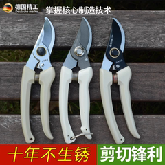 剪刀修枝剪果树剪子花剪园艺家用强力园林手剪大号不锈钢花卉绿化