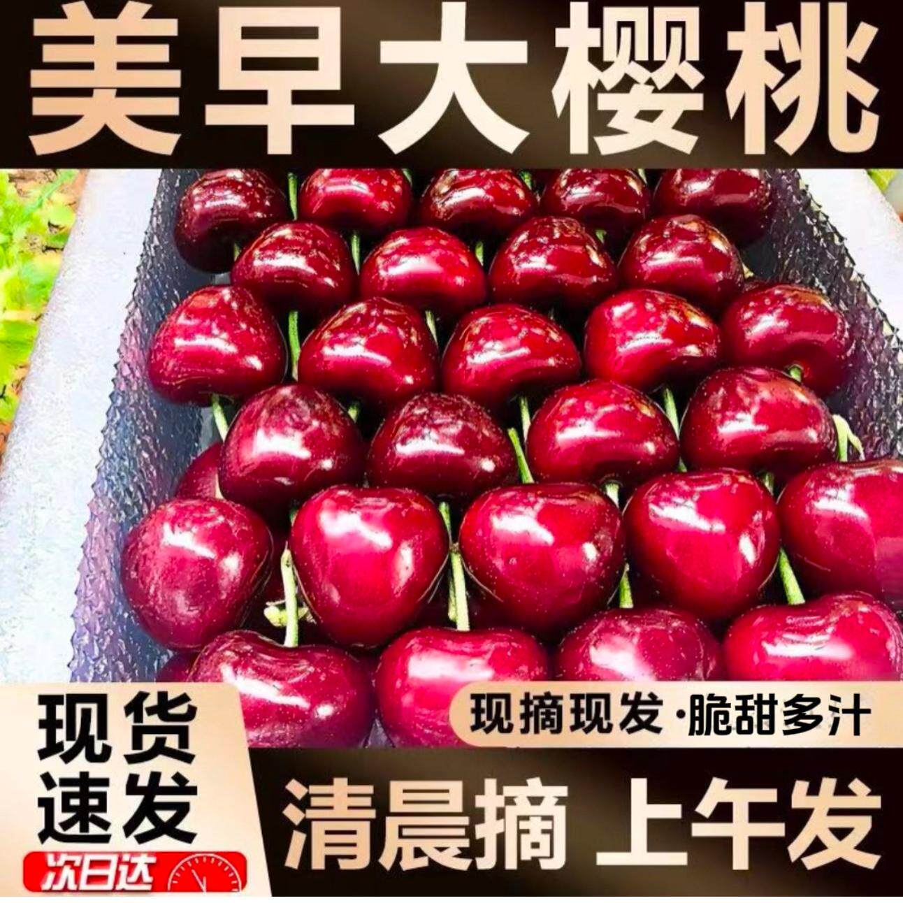 樱桃新鲜水果整箱山东美早大樱桃应季脆甜多汁孕妇国产车厘子