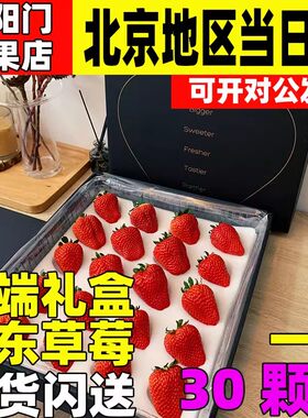 丹东99大草莓九九红颜新鲜现摘现发甜牛奶油孕妇当季水果顺丰