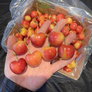 顺丰 现货新鲜水果智利雷尼尔黄金车厘子黄樱桃2斤礼盒3J大果