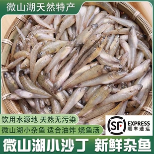 微山湖野养沙里趴地虎山根鱼沙丁子溪石坑鱼麦穗油炸小河杂鱼顺丰