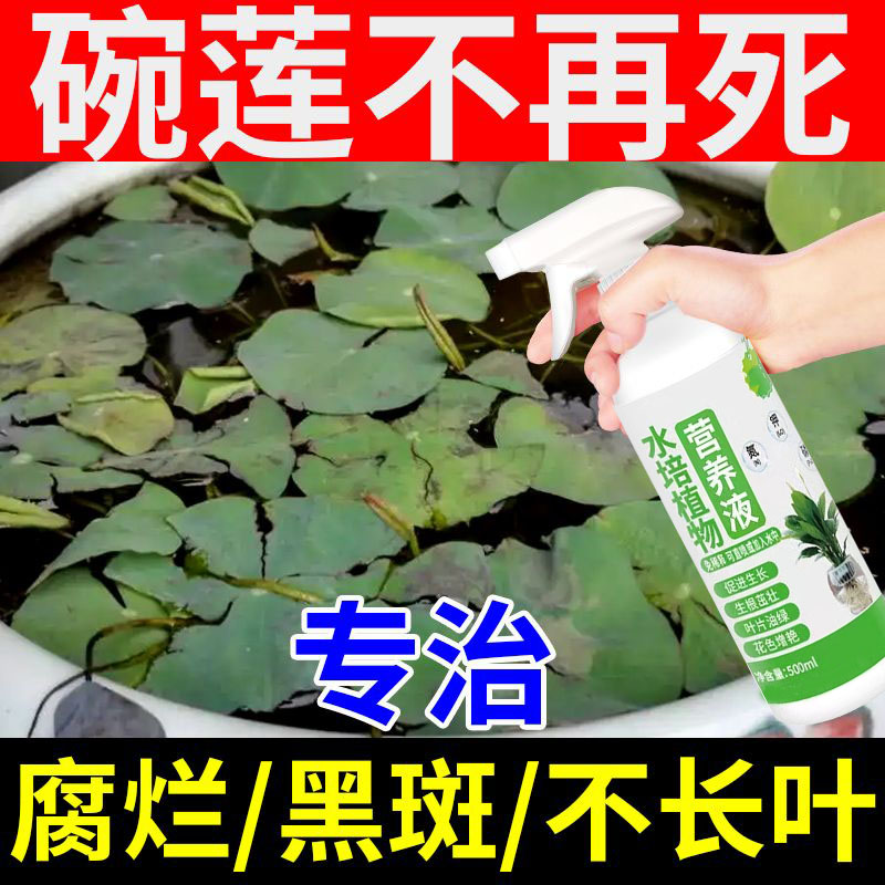 生根药水营养液正品专用睡莲碗荷