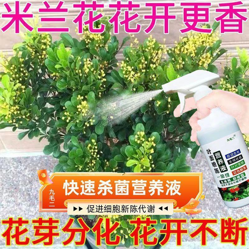 花卉绿植通用肥料易养活香满屋】米兰营养液米兰花黄叶掉叶干枯烂