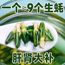 莲子心茶新货正品莲子芯官方旗舰店连子芯茶叶清热去火泡水的功效