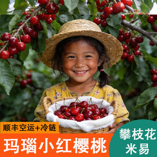 顺丰空运 水果 攀枝花米易玛瑙红樱桃新鲜现摘现发高山甜樱桃应季