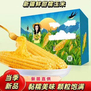 新疆直发甜糯玉米当季新品黏糯美味当季新鲜黄白香甜真空包装玉米