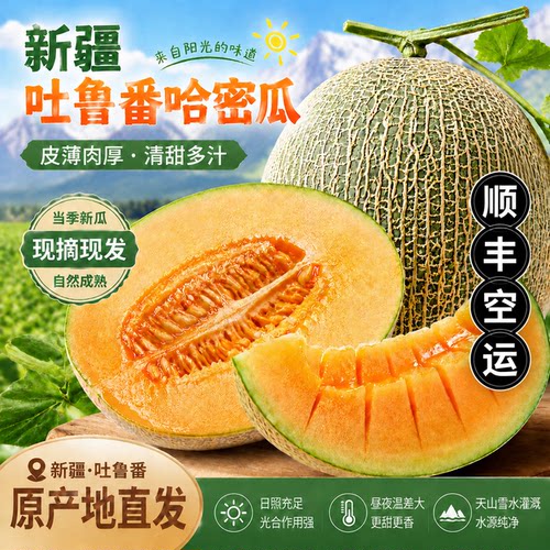 新疆直发顺丰空运包邮