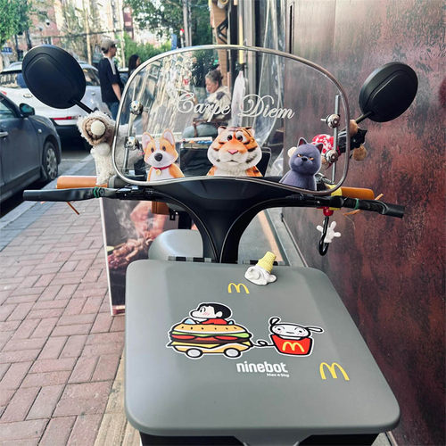 九号V30C电动车复古装饰大全