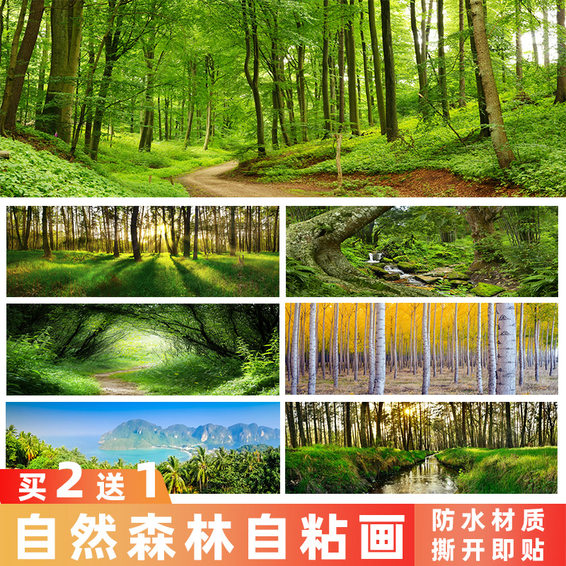 森林丛林自粘装饰画客厅沙发背景墙贴画心理治疗防抑郁图贴纸海报