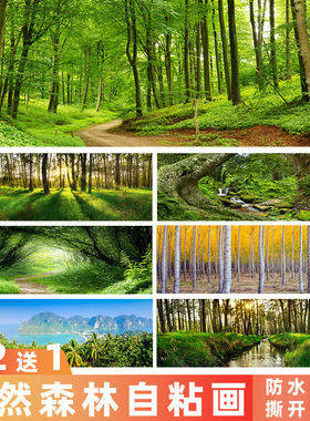森林丛林自粘装饰画客厅沙发背景墙贴画心理治疗防抑郁图贴纸海报