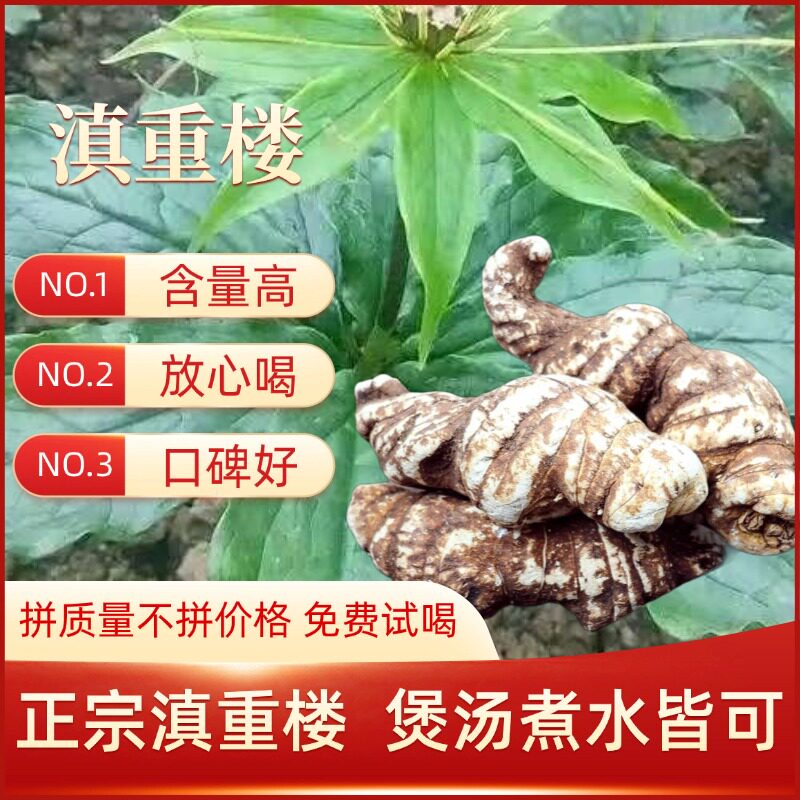 正宗云南滇重楼七叶一枝花干货蚤休独角莲道地野生无硫熏十年生