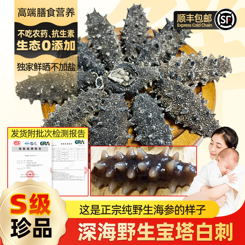 深海纯野生纯淡干海参特级一级国标大白刺长岛辽参干货孕妇滋补