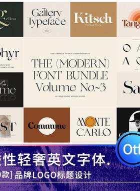 优雅酸性轻奢衬线艺术字体海报标题写真英文logo品牌设计winMAC