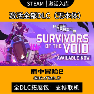 Steam雨中冒险2DLC补丁激活全合金意志/风暴探寻者/虚空幸存者