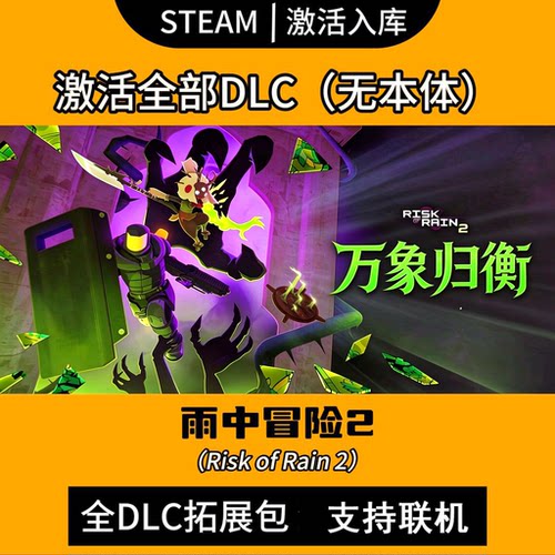 steam雨中冒险2dlc万物归衡dlc